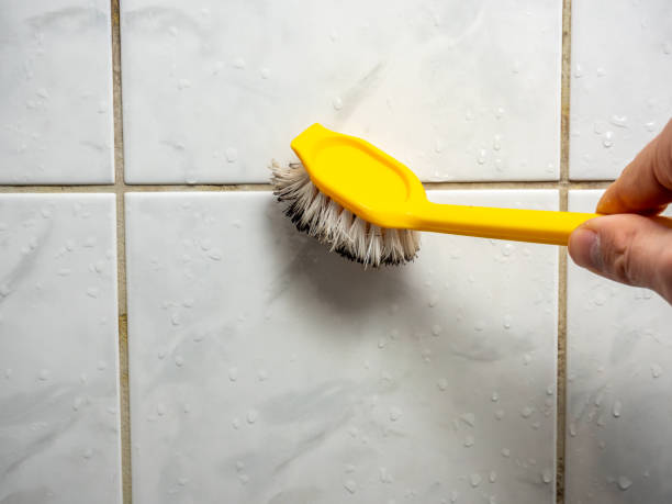 Professional Mold Remediation in Mount Vernon, GA