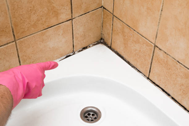 Best Health and Safety Mold Remediation in Mount Vernon, GA